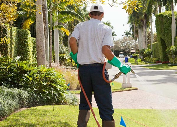 About Elizabeth City NC Pest Control Pros